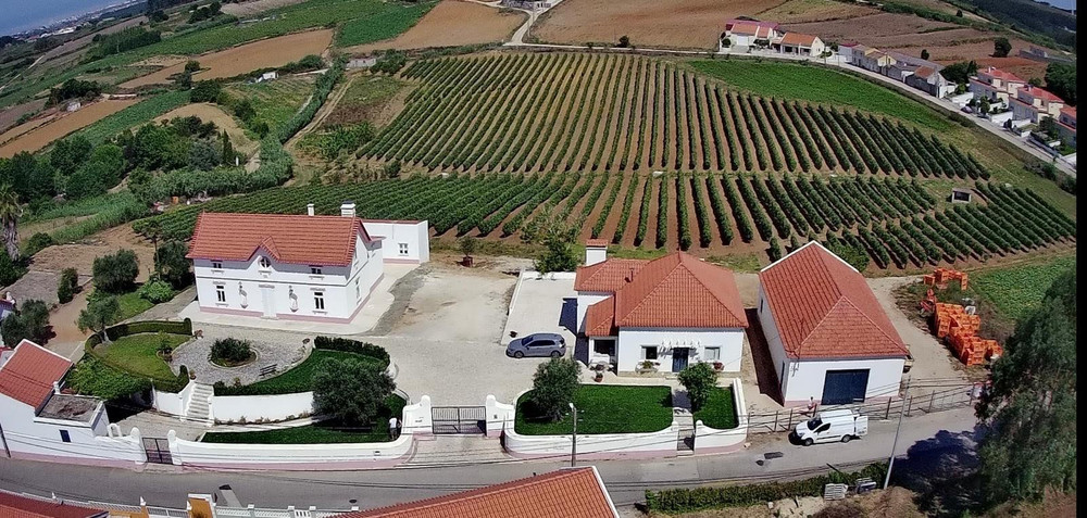 Charming house, nestled within a private vineyard preview