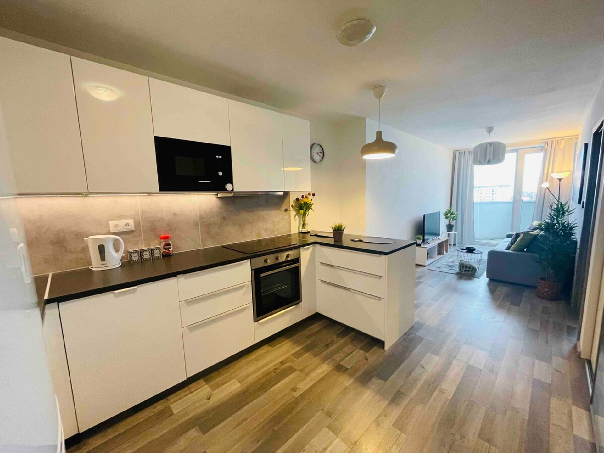 Fully equipped kitchen, including microwave, oven, refrigerator, and dishwasher… etc.