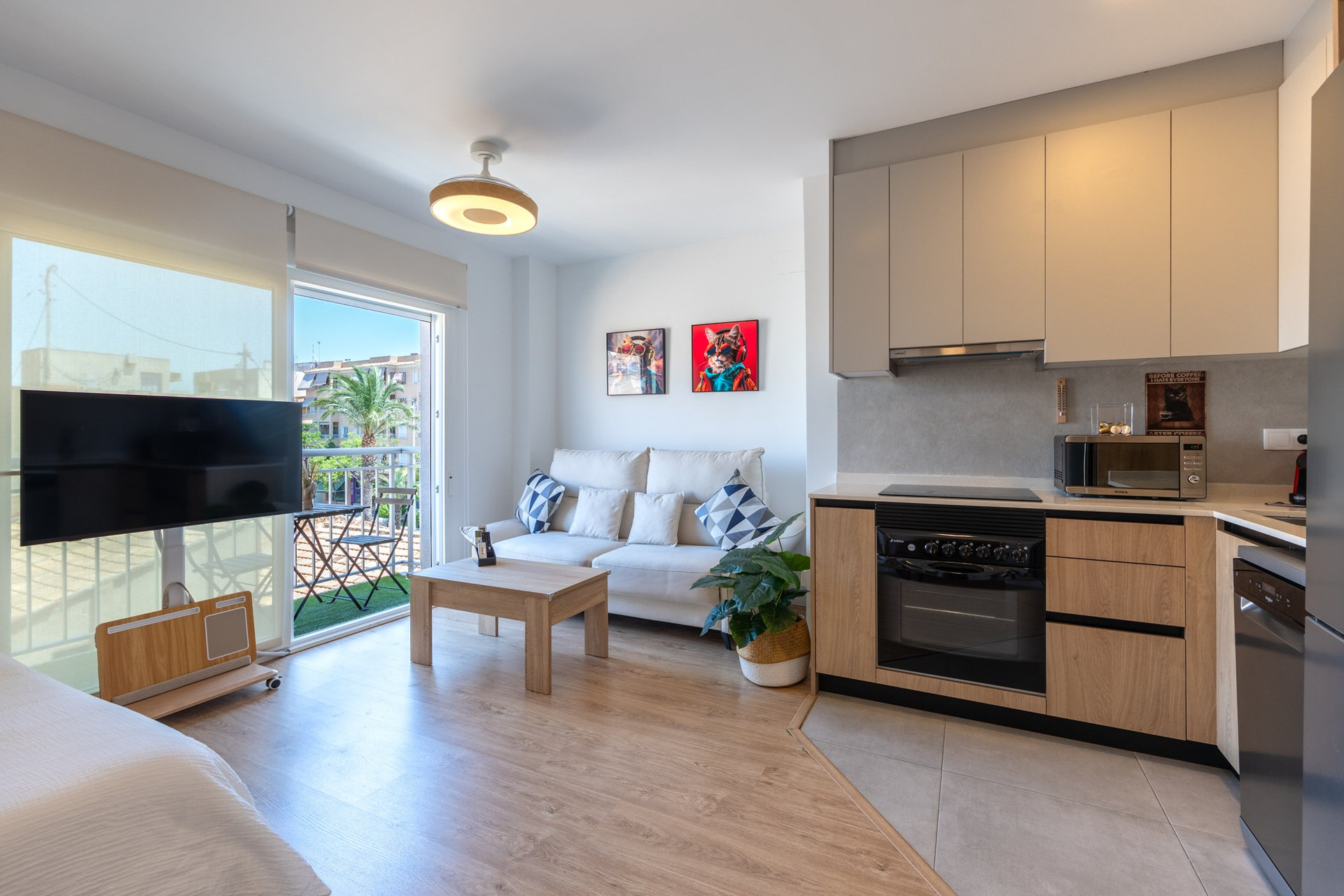Open plan living room and kitchen