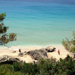 Landlords profile photo