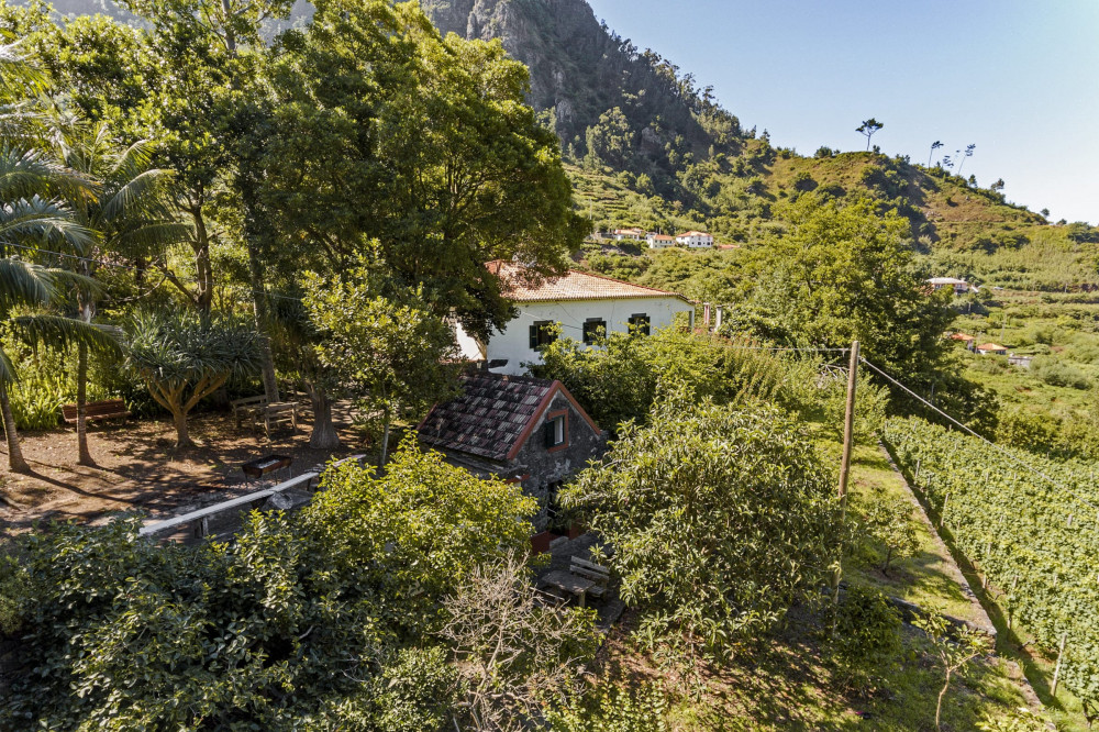 Casa do Lanco II, wine and laurel forest.
