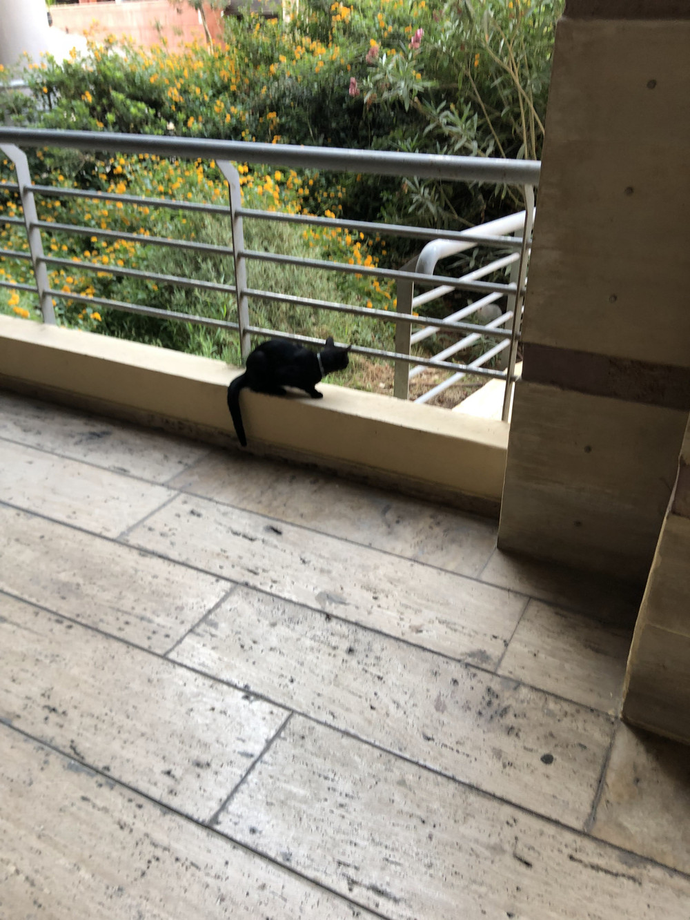 Image #49