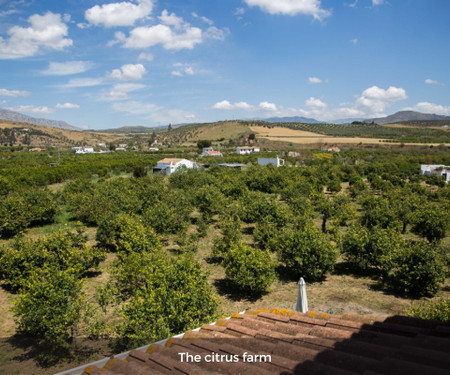 Charming guesthouse in rural Malaga - Double room Lemon