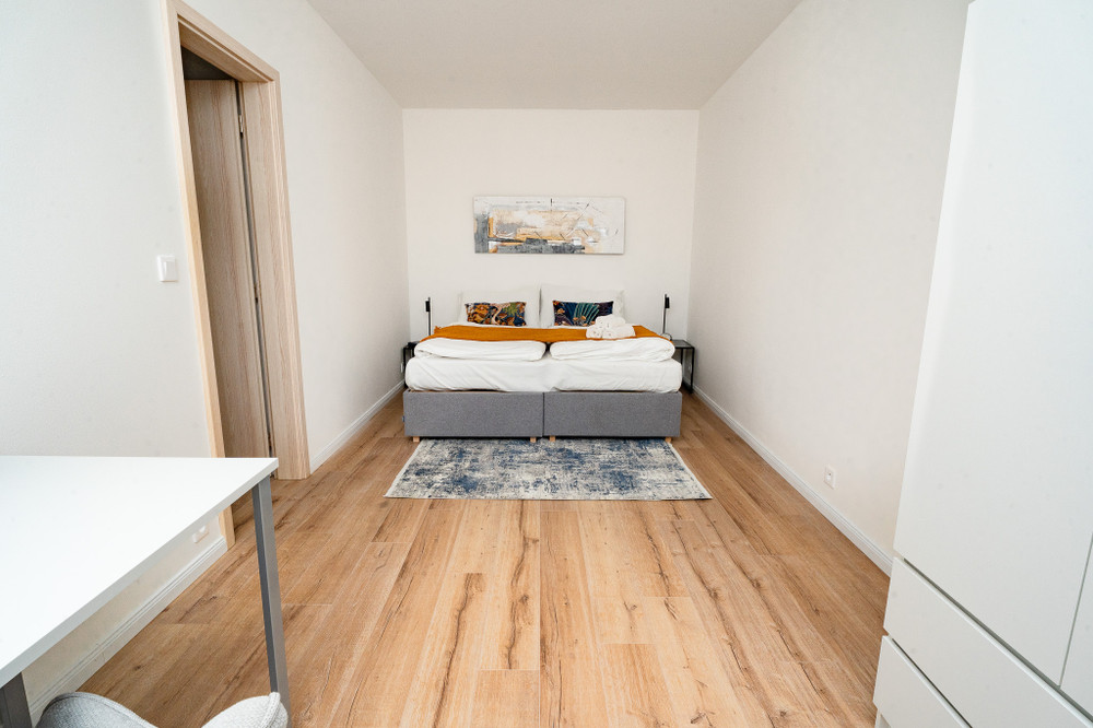 New modern apartment in the city center preview