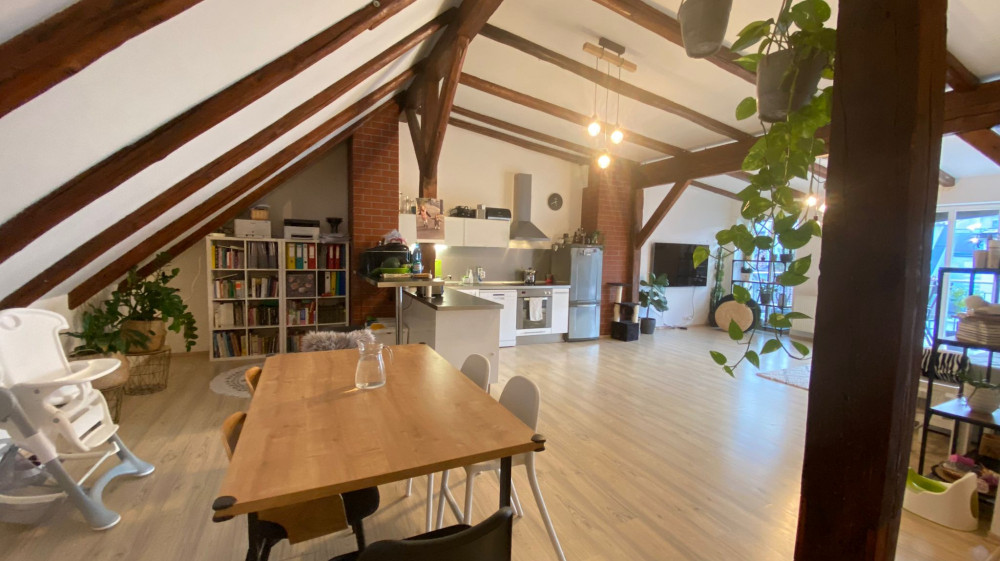 Amazing  attic with 30m2 Terrace between parks