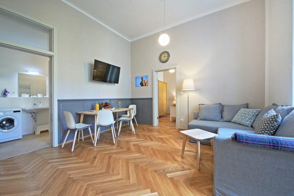 Beautiful and equipped 2 rooms apartment/Vinohrady preview