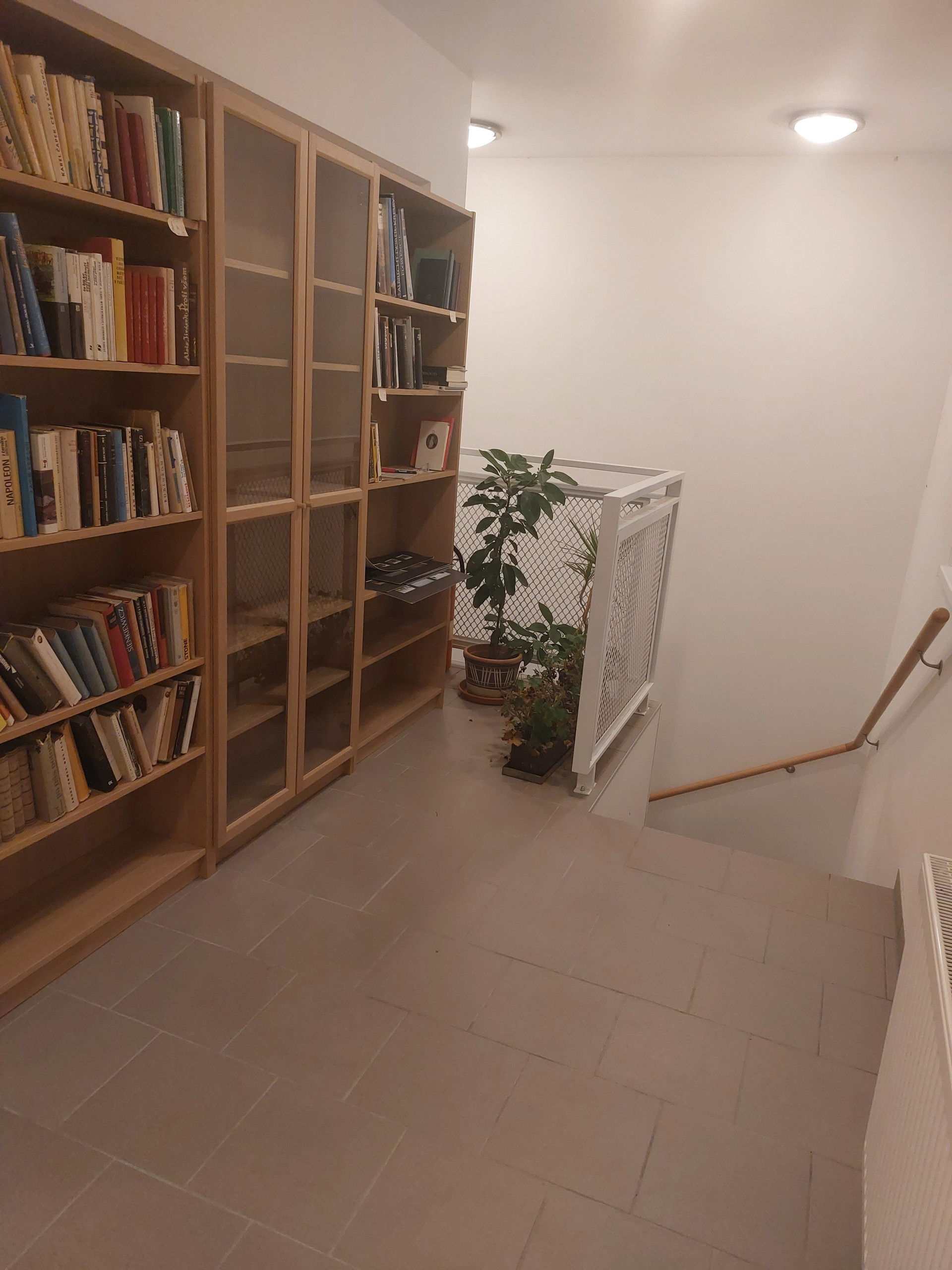 Hallway with bookshelves and staircase