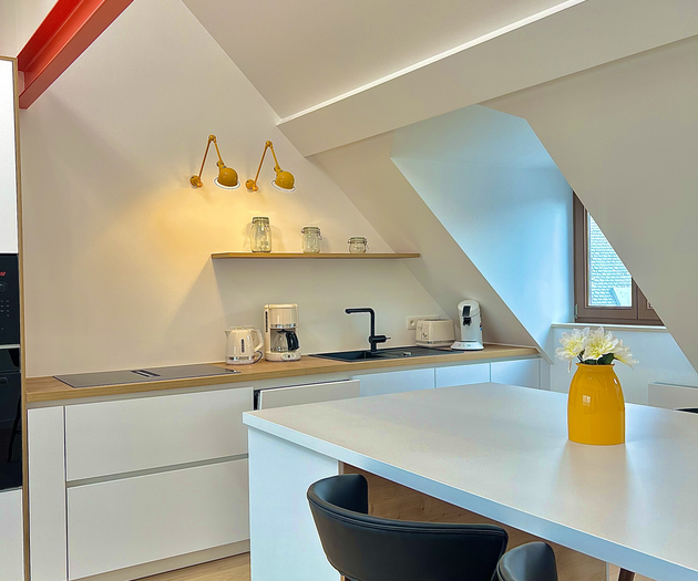 Design & Elegant Duplex in the Heart of Brussels