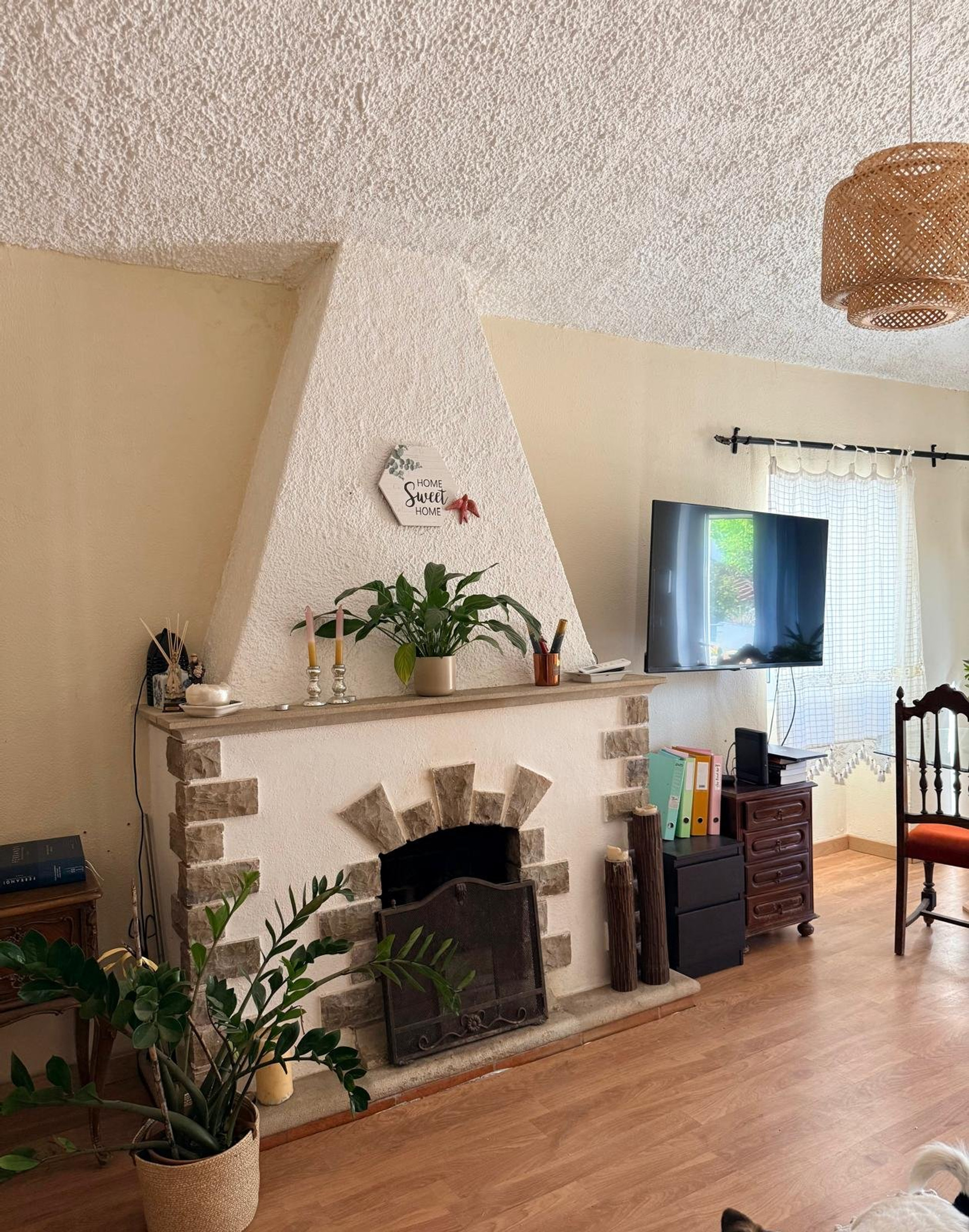 Living room with fireplace