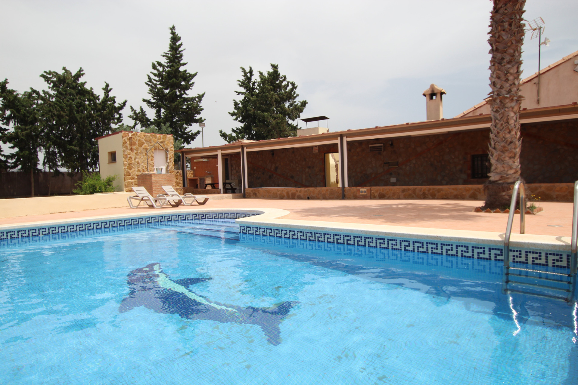 Pool with dolphin mosaic