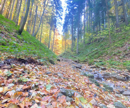 Cheerful/PATIO/Hiking trails & Old Town