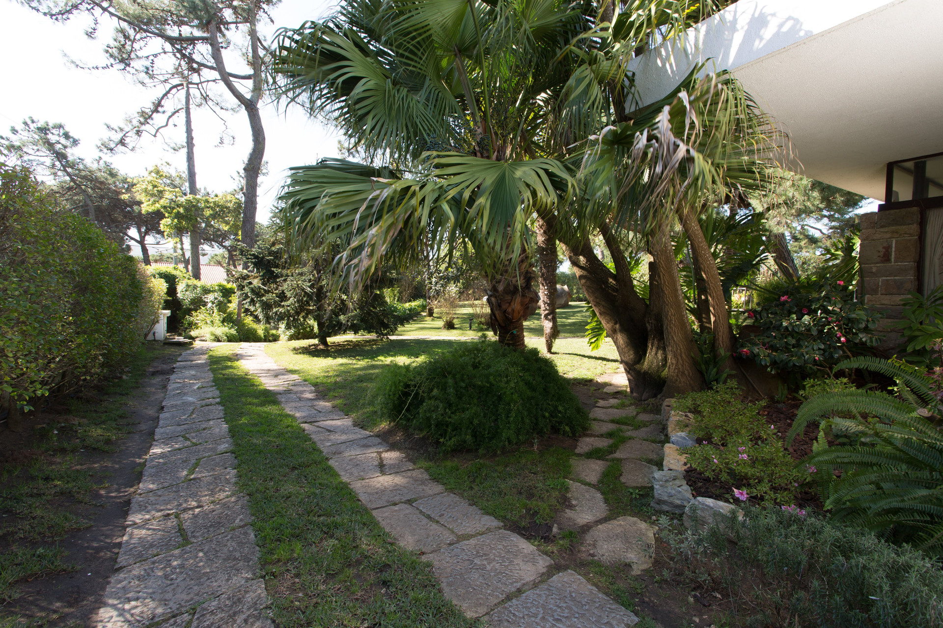 Entrada
