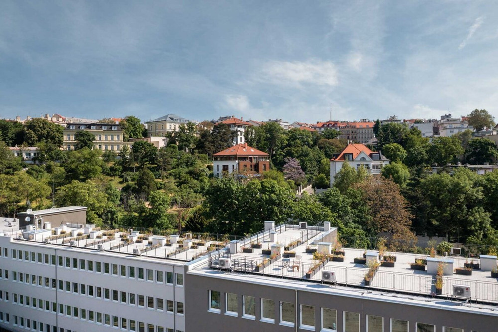 Image #16