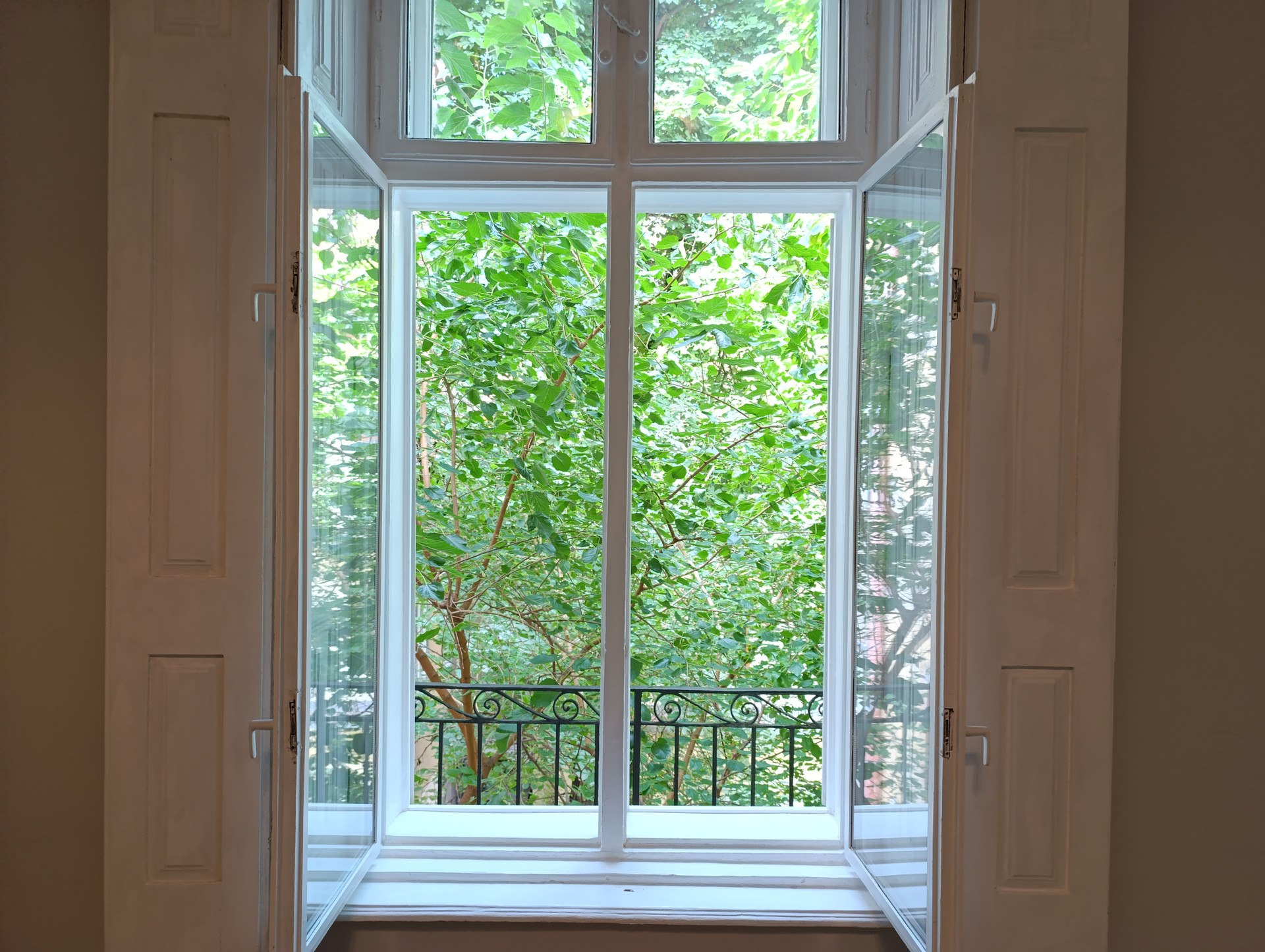 view