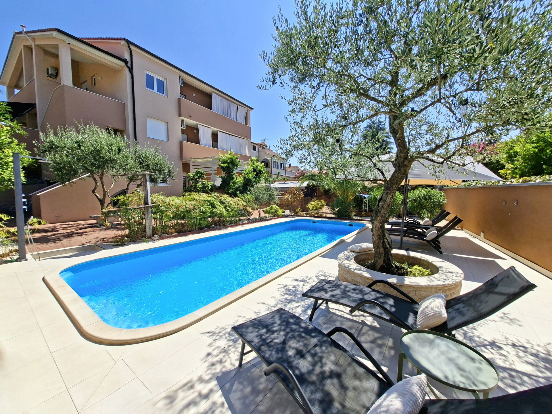 Garden pool with olive tree