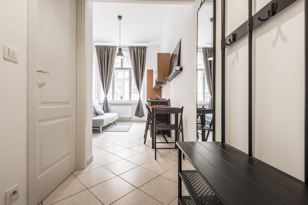 Tyrsova apartment -  cute & sunny, wifi, Prague 2 preview