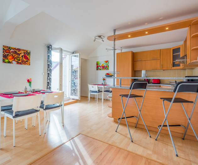 ROOF APARTMENT with TERRACE near WENCESLAS Sq.