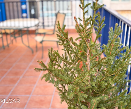 Apto céntrico con Terraza, Tranquilo