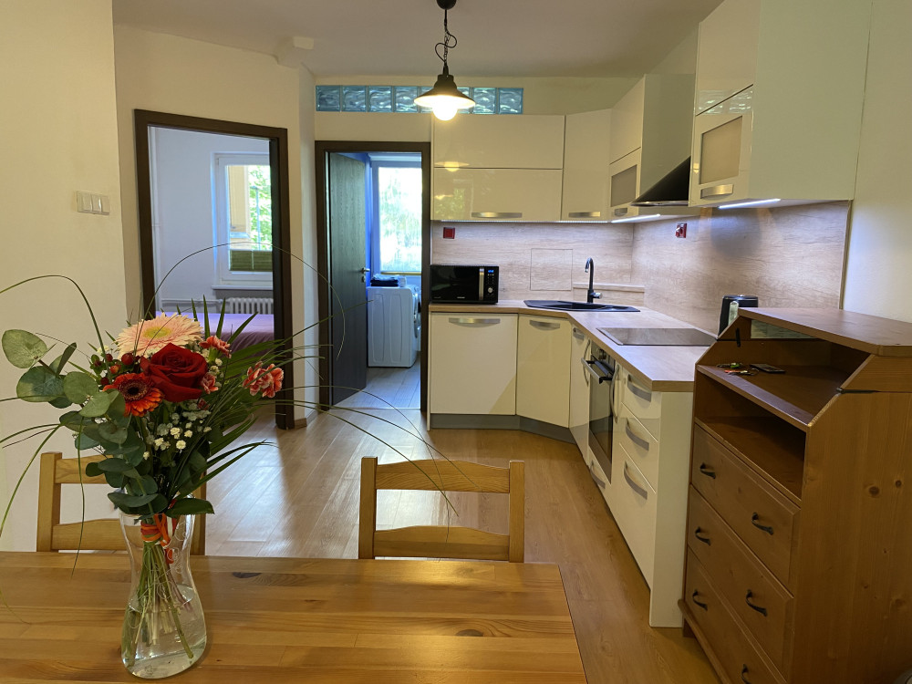 Bright flat in wider center of Prague preview