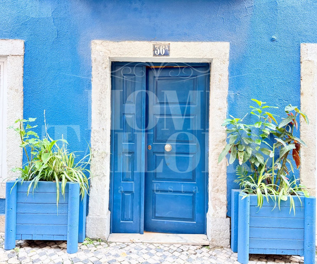Green Street Charming Flat