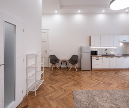 Newly renovated apartment in the center of Prague