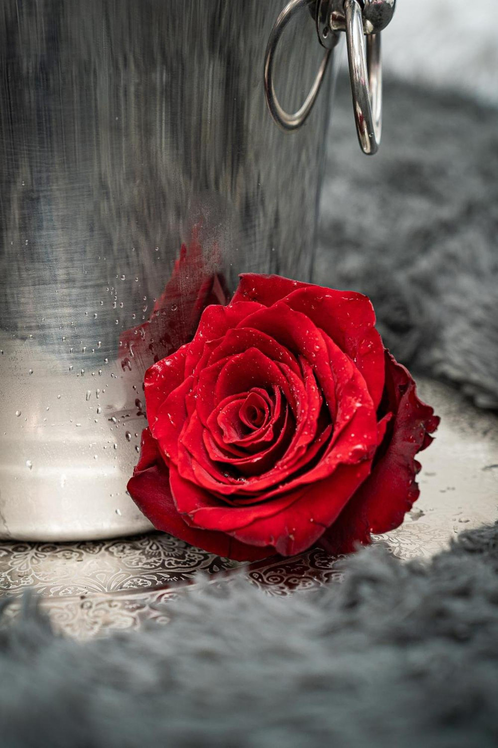 Image #14