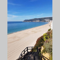 Landlords profile photo