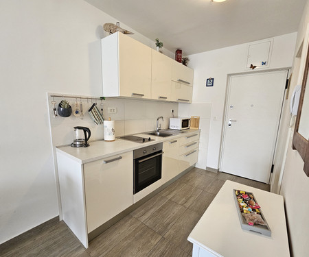 Studio Apartment  Romana