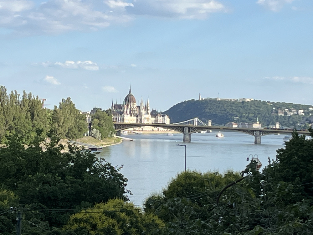 Luxury apartment overlooking the Danube preview
