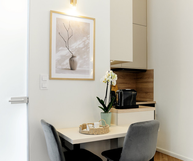 Luxury City Center Apartment 1+kk