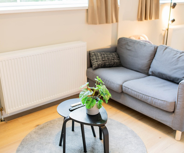 Luxurious Dowtown 3BDR Apartment WS