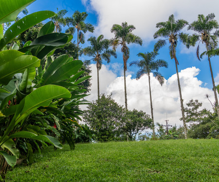 Colombian Natural LifeStyle at ALDEA SABATINGA