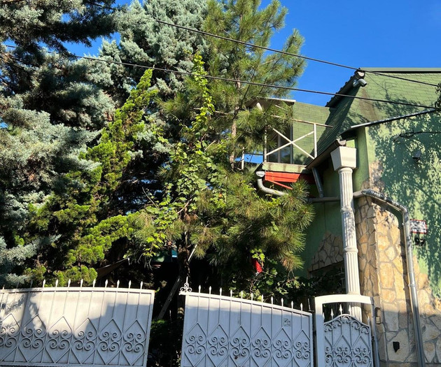Exterior gate and house facade