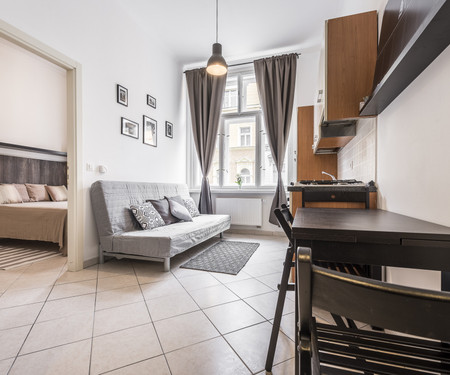 Tyrsova apartment -  cute & sunny, wifi, Prague 2