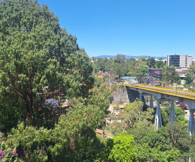 72m² Executive Suite in Lomas | Weekly Cleaning