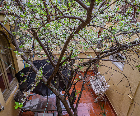 Beautiful flat In Gracia