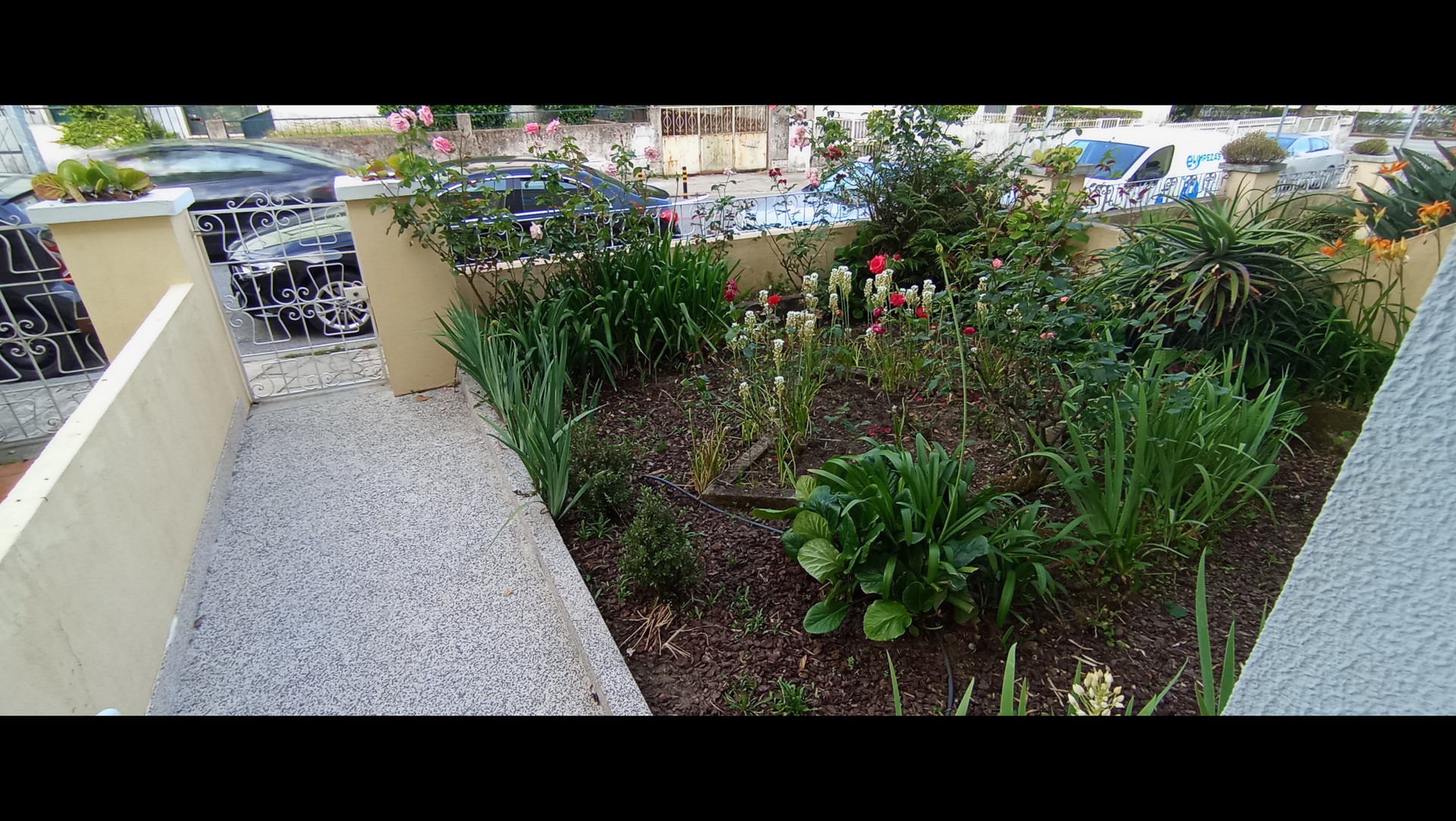 Front of the house with small garden and private entry