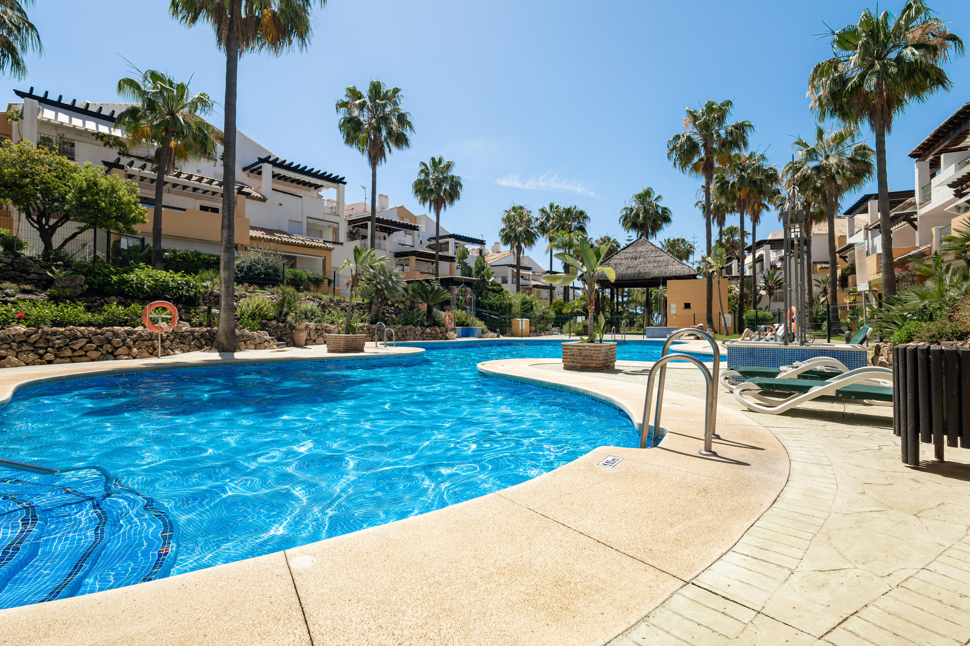 Community pool with palm trees