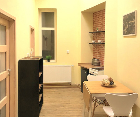 Cosy Apartment for 4 in the heart of Vinohrady