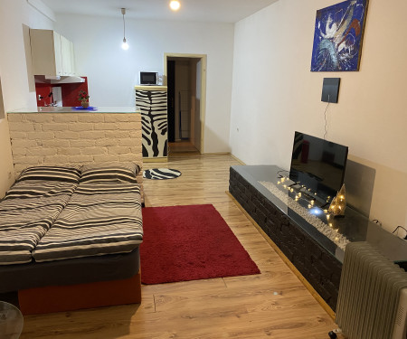 1-bedroom guesthouse + private parking