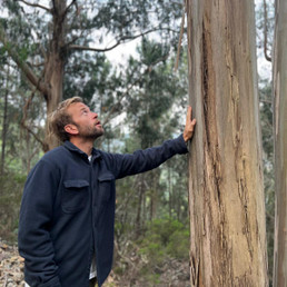 Landlords profile photo