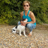 Landlords photo