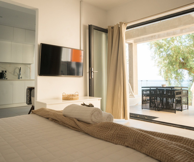 Studio with kitchen and terrace