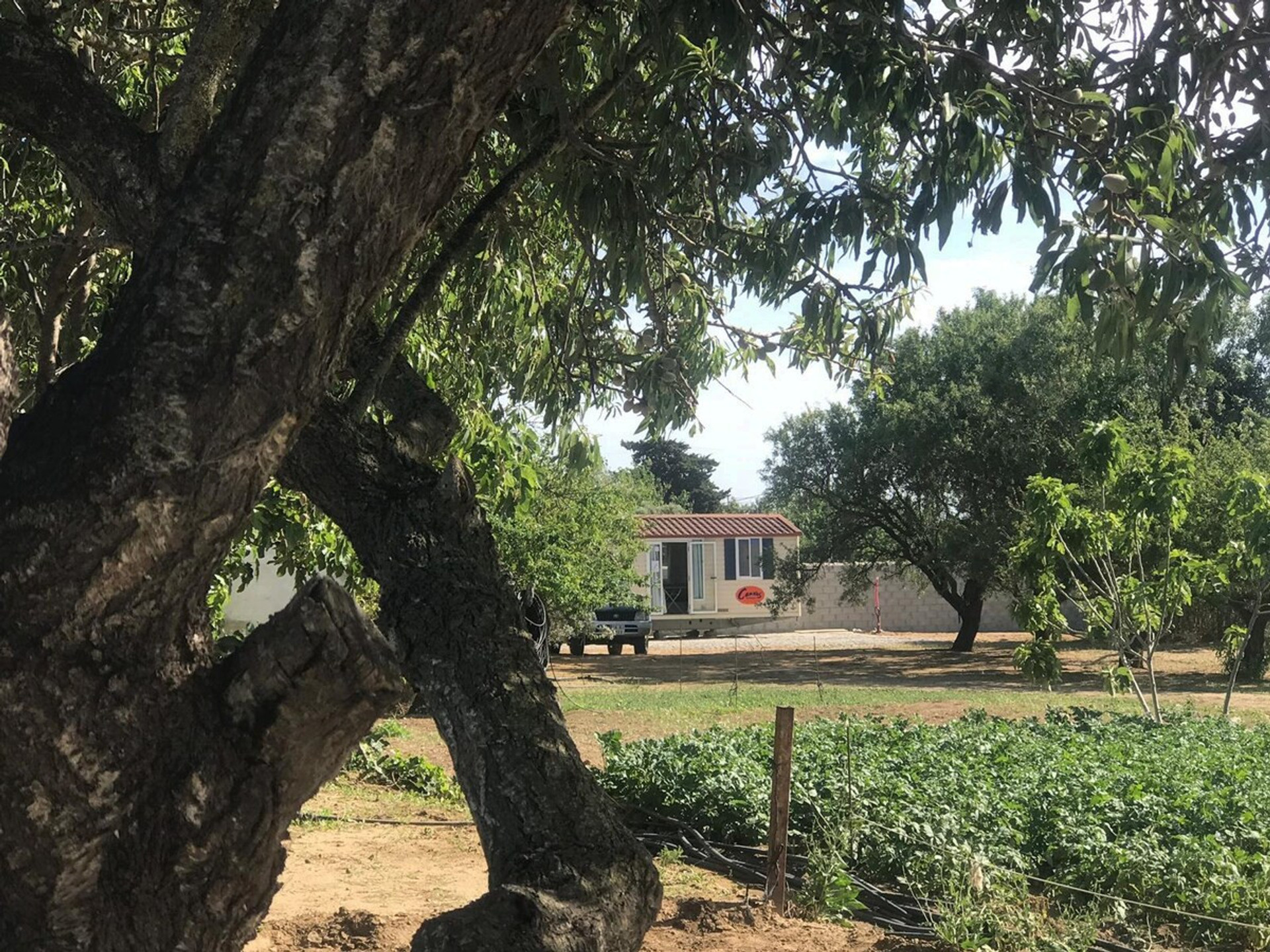 Stunning Tiny House hiding between the trees of Almond, Aliso, Enerbo, Maple, Olive & Lemon. Chiclana de la Frontera, Cádiz, Spain