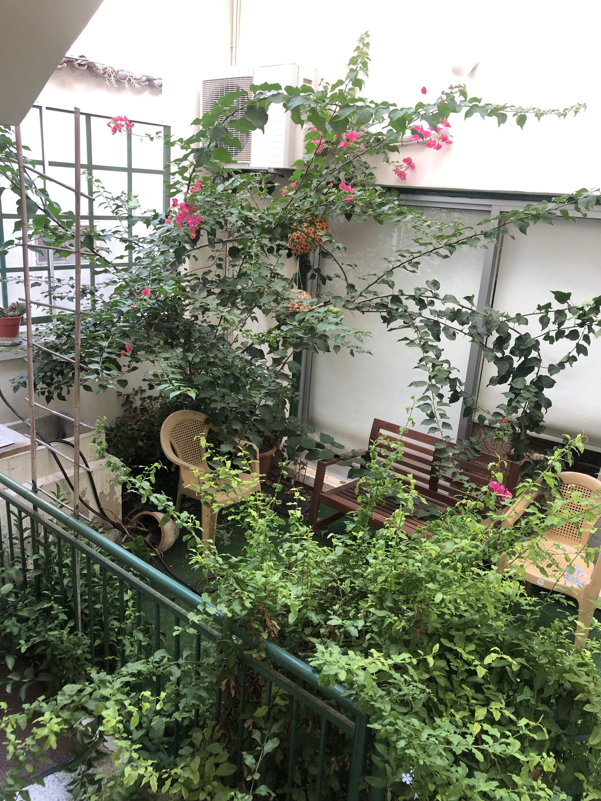 Patio garden area