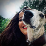 Landlords profile photo
