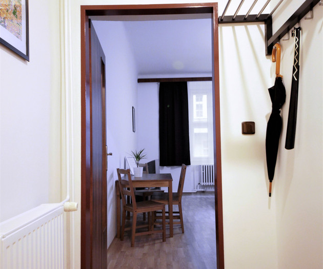 Renovated apartment 1+1 in Letná district