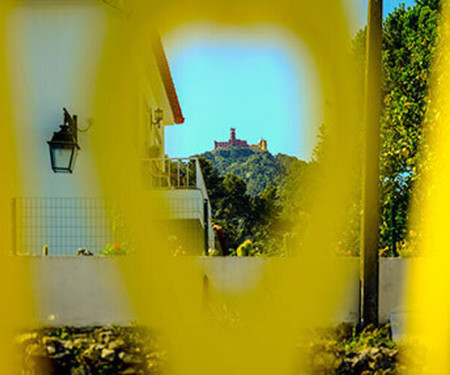 Sintra- Casa da Rocha - Flat Citrus Fruits