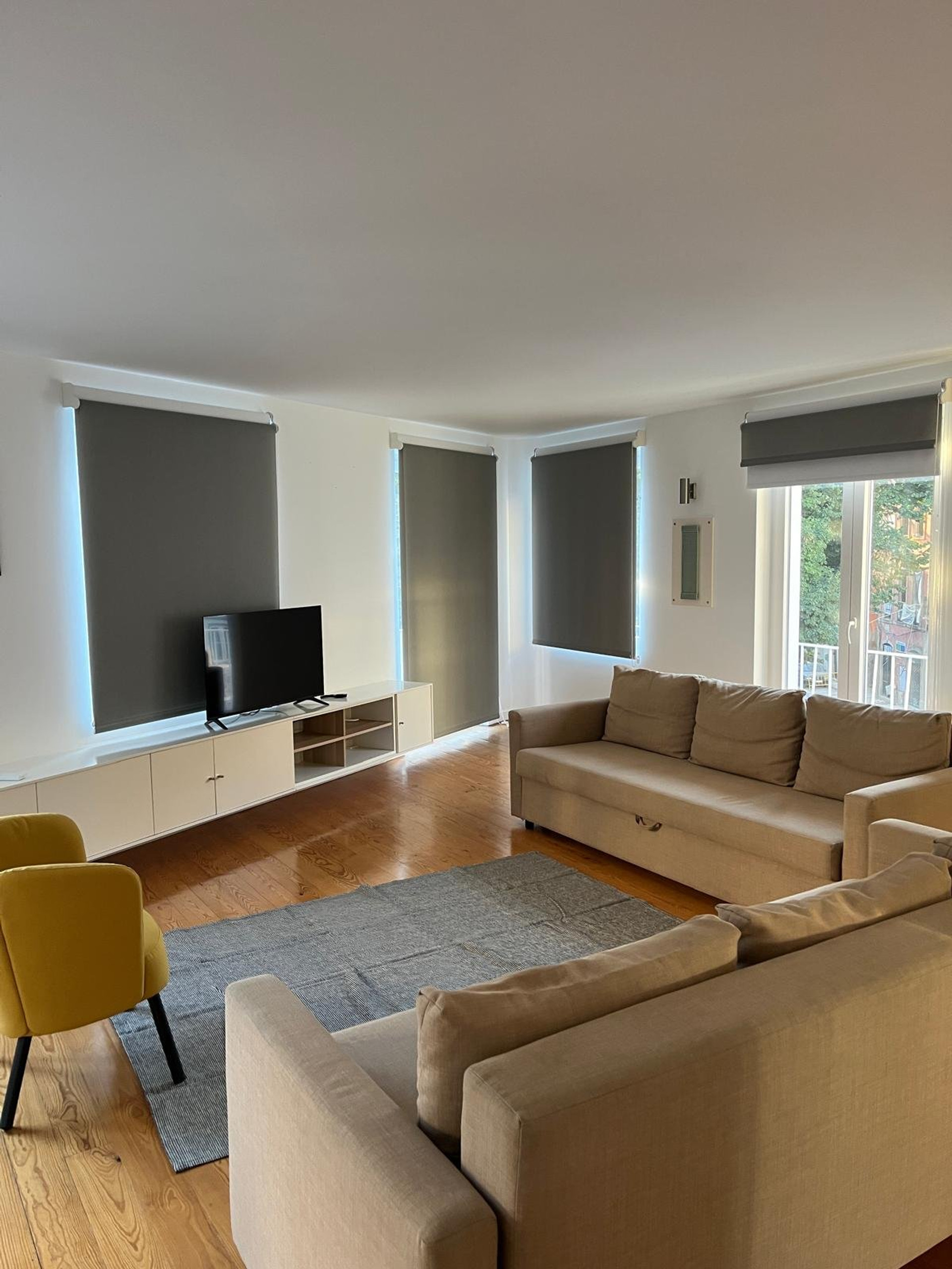 Living room with sofas TV
