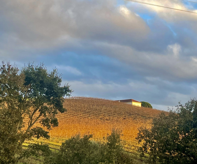 Rural Cottage 40 minutes from Lisbon